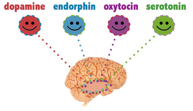 Your-brain-on-storytelling image